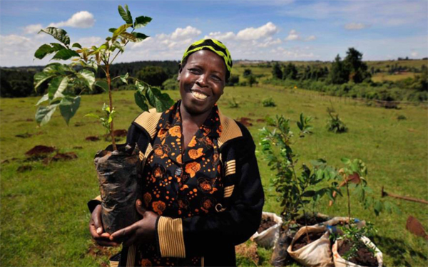 wining photo Riccardo Gangale International Forest Photograph Contest