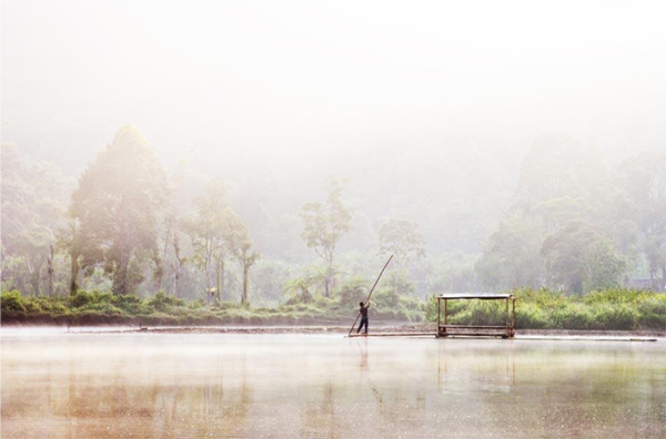 wining photo Prasetyo Nurramdhan International Forest Photograph Contest
