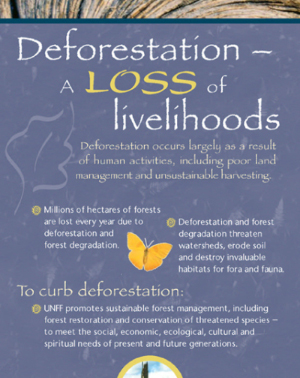 Global Objective on Forests