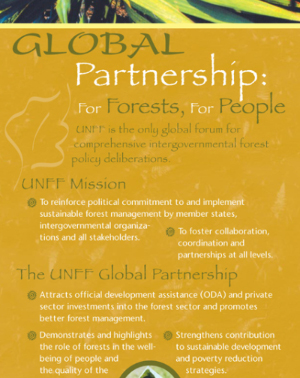 Global Objective on Forests