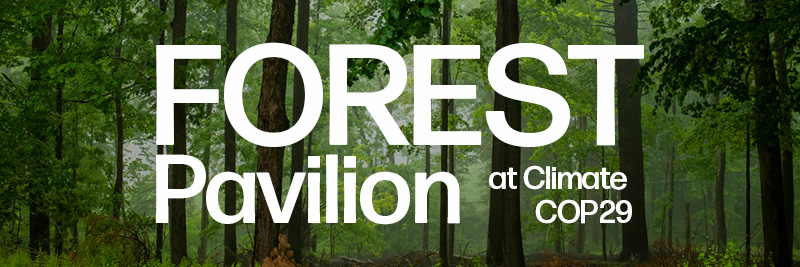 header image with the background of a forest reading Forest Pavilion at Climate COP29